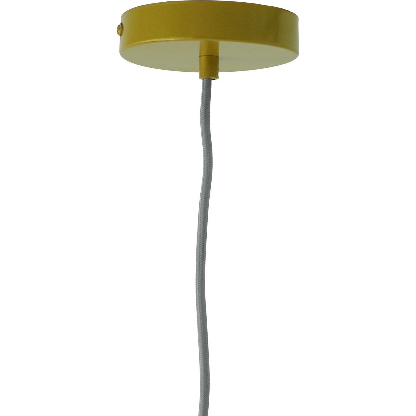 Glowline Pendant Lamp - Gold and Clear