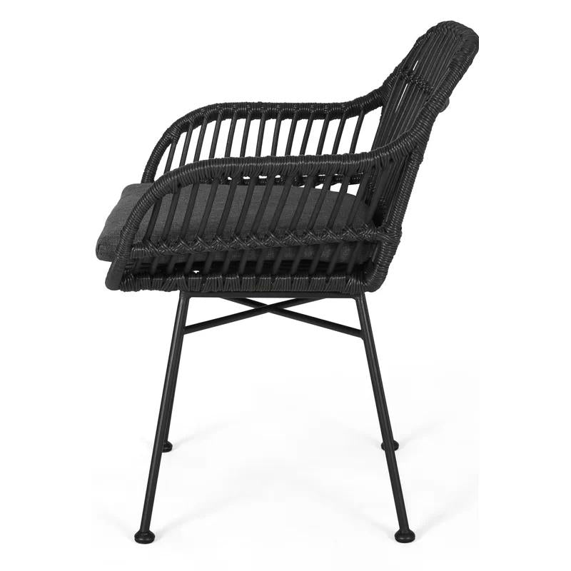 Christopher Knight Home Rodney Outdoor Woven Faux Rattan Chairs with Cushions (Set of 2)