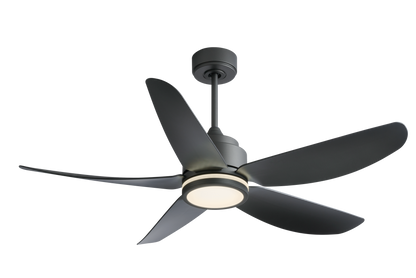 Light Pro 52 in. LED Indoor Jet Black Modern Ceiling Fan with DC Motor