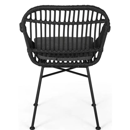 Christopher Knight Home Rodney Outdoor Woven Faux Rattan Chairs with Cushions (Set of 2)